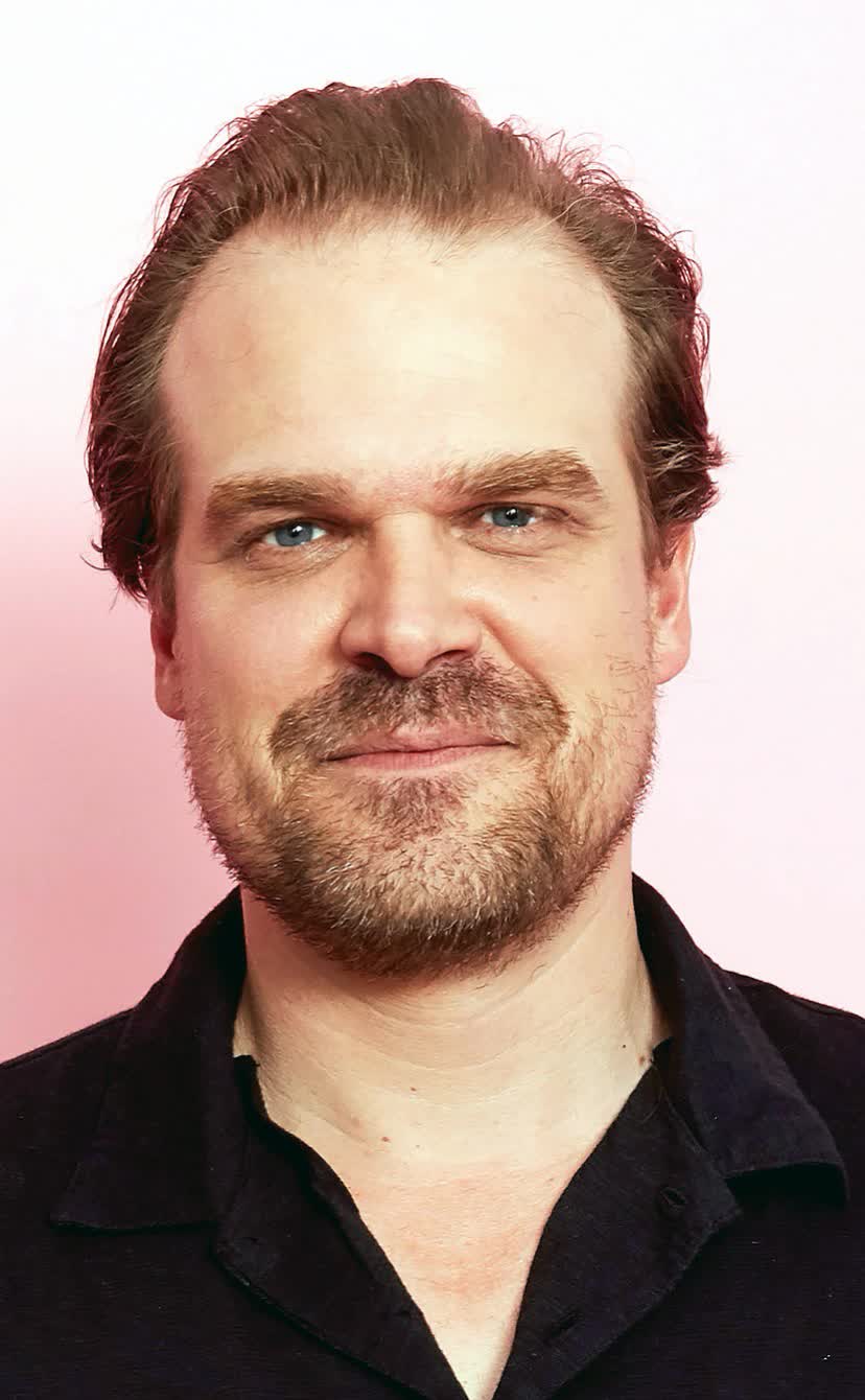 David Harbour: Credits, Bio, News & More