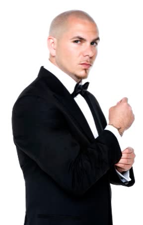 what race is pitbull