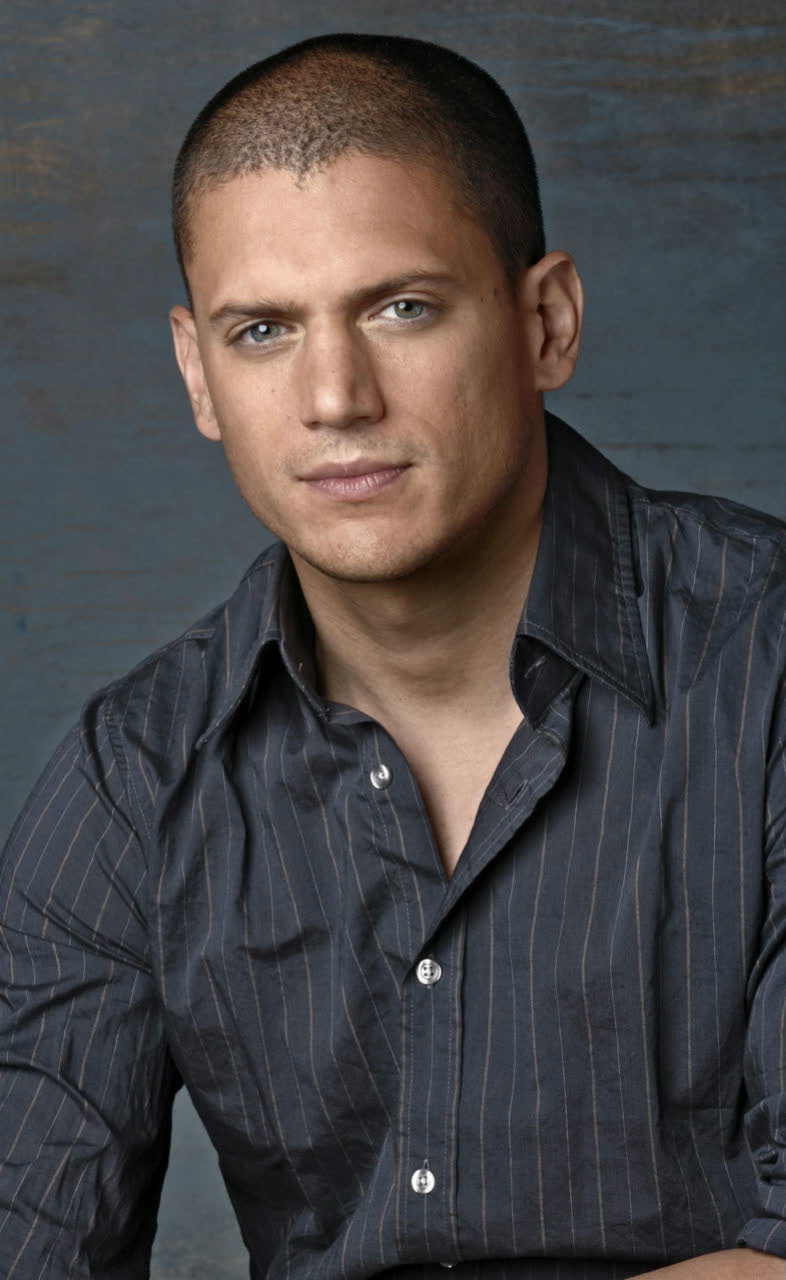 Wentworth Miller Height, Age, Bio, Weight, Net Worth, Facts and Family