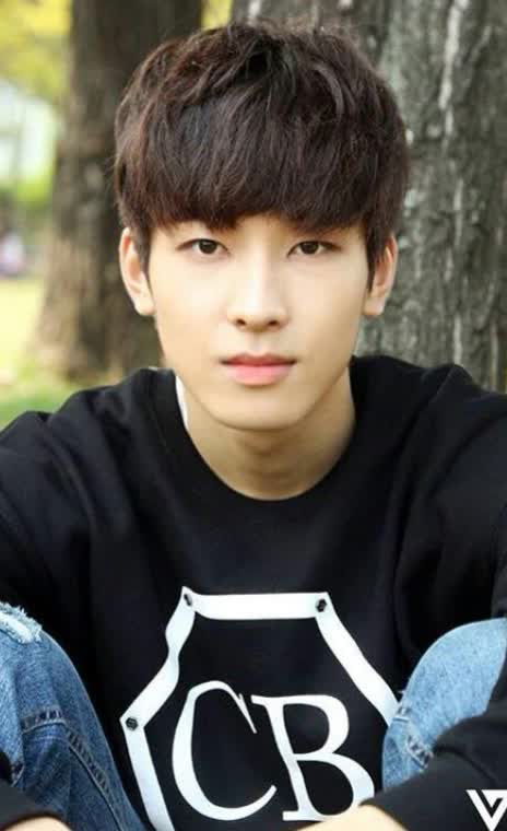 Wonwoo